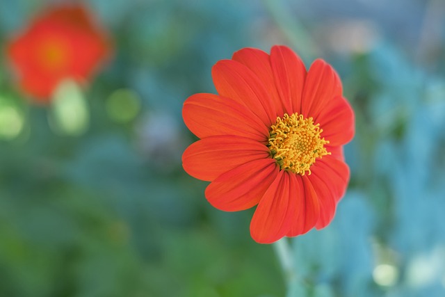 但未能带来 但未能带来