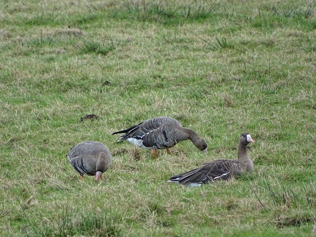 年春运顺利 年春运顺利