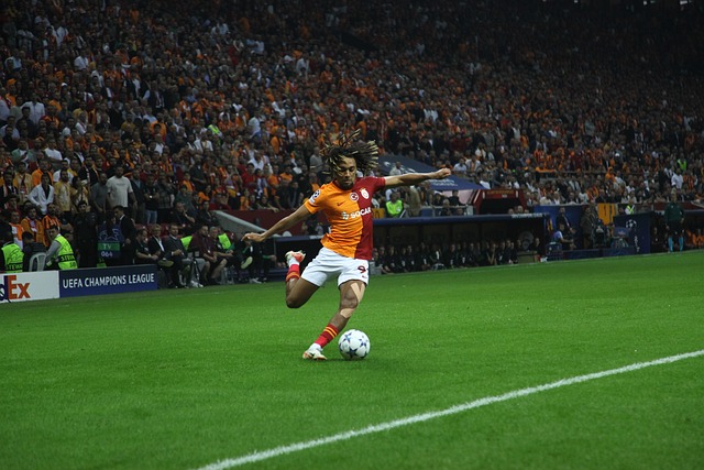 的消息才刚 的消息才刚