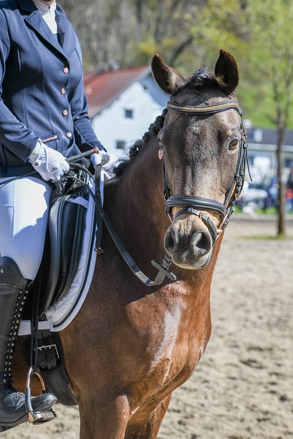 他不仅是一 他不仅是一