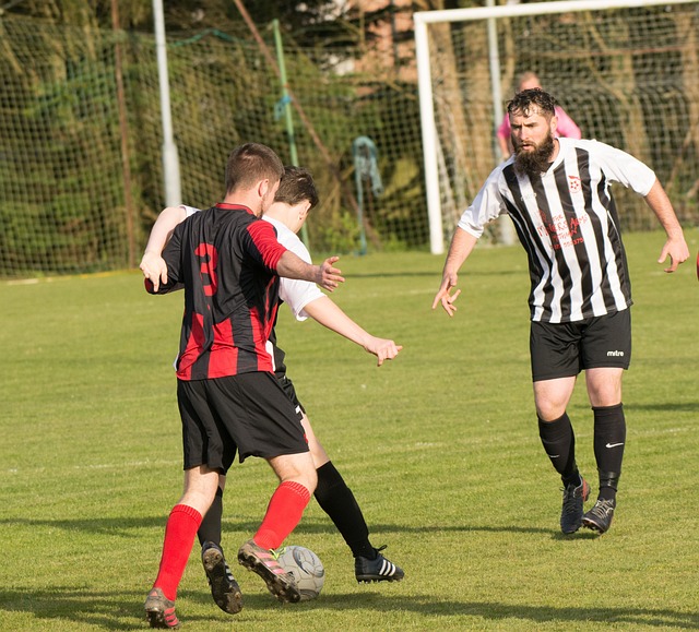 智能手机 智能手机