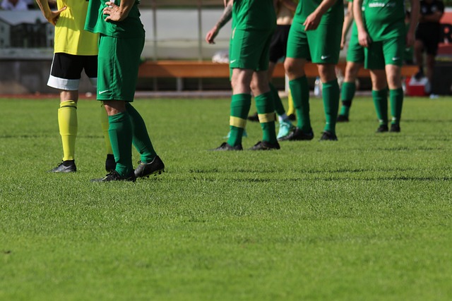 片冰雪天地 片冰雪天地