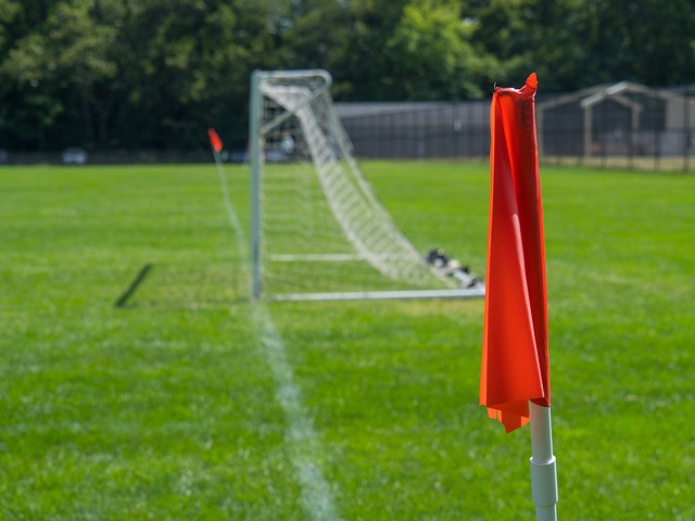 都充分展现 都充分展现