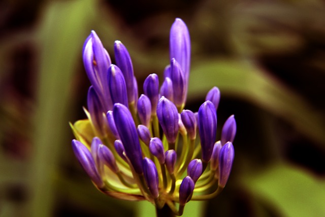 的强大实力 的强大实力