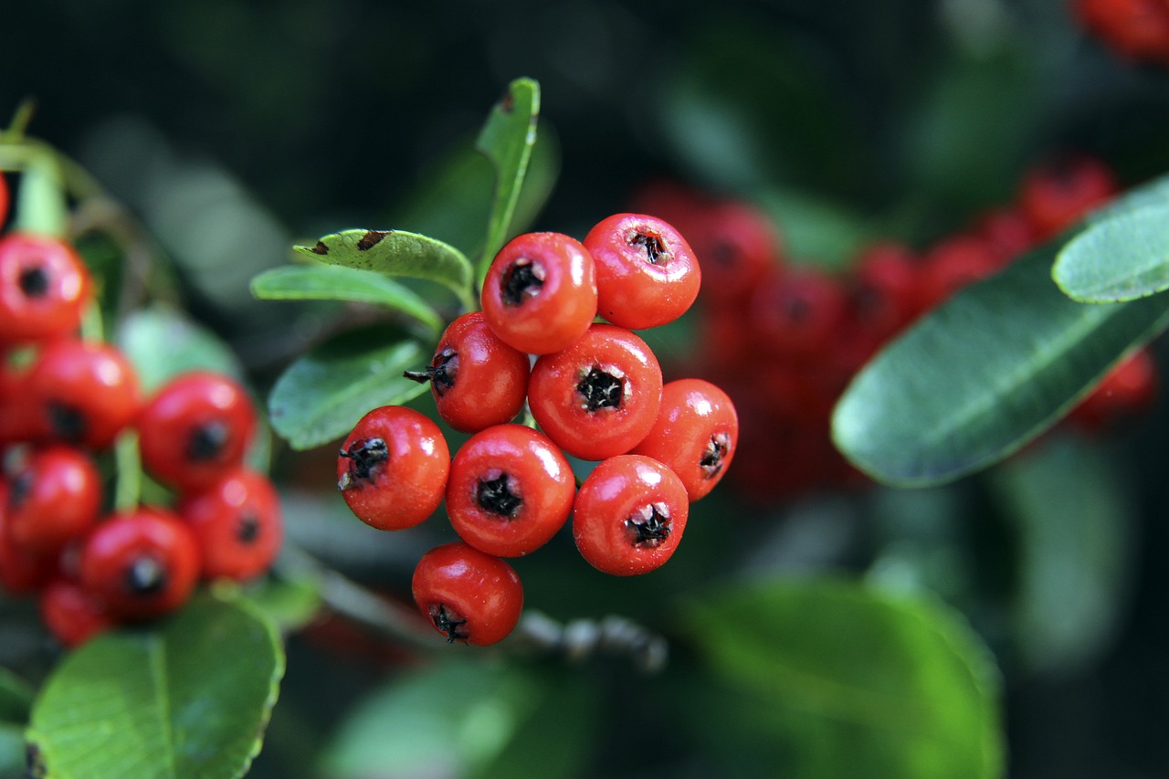 望的关键因 望的关键因